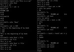 Some of the possible commands in minishell