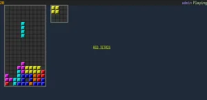 Playing a game of Red Tetris