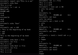 Some of the possible commands in minishell